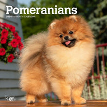 Load image into Gallery viewer, Browntrout Pomeranians 2024 7 x 7 Mini Calendar
