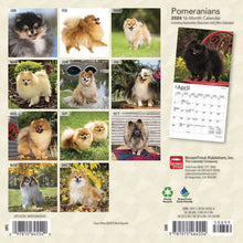 Load image into Gallery viewer, Browntrout Pomeranians 2024 7 x 7 Mini Calendar
