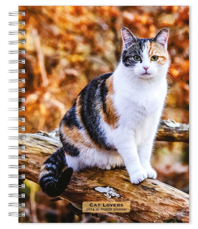 Browntrout Cat Lovers 2024 6 x 7.75 Inch Engagement Planner