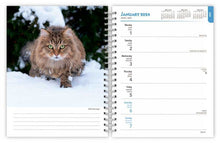 Load image into Gallery viewer, Browntrout Cat Lovers 2024 6 x 7.75 Inch Engagement Planner
