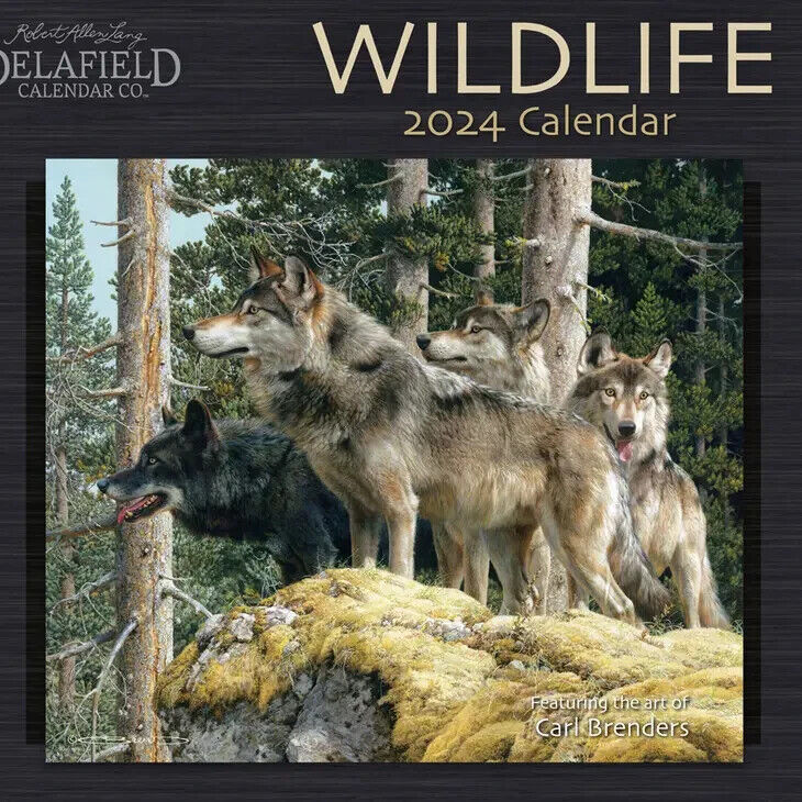 Robert Lang 2024 Wildlife Wall Calendar