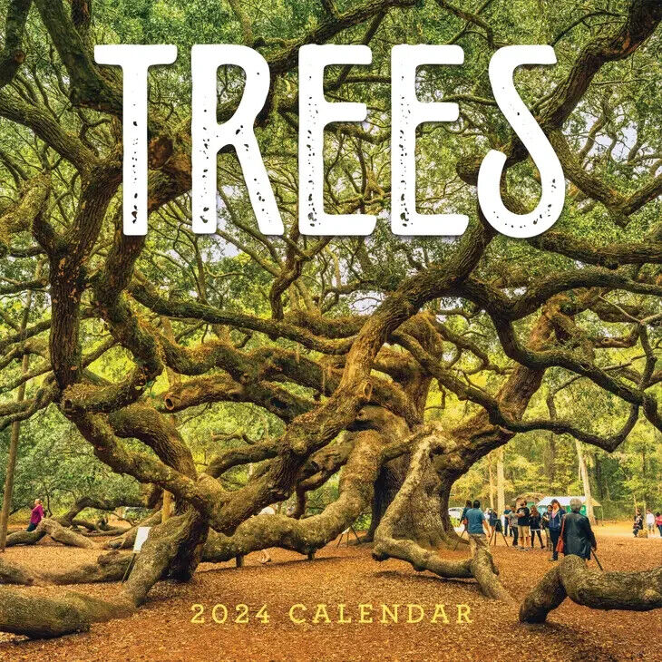 TF Publishing 2024 Trees Wall Calendar