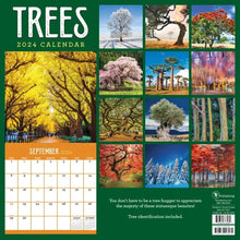 Load image into Gallery viewer, TF Publishing 2024 Trees Wall Calendar
